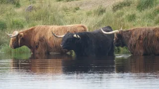 Malé ostrovy Velké Británie (2/4)