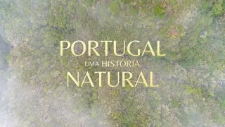 Divoké Portugalsko (4/7)