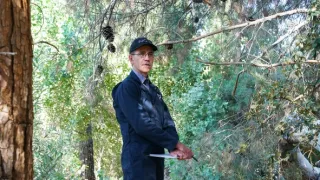 Námořní vyšetřovací služba XX (2)