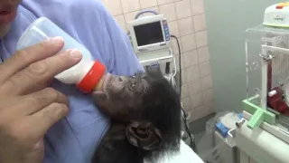 Příběhy zvířecích miminek III