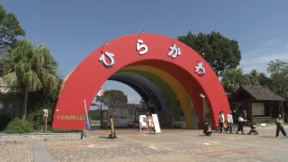 Příběhy zvířecích miminek III