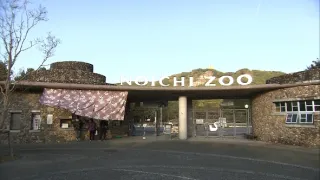 Příběhy zvířecích miminek III