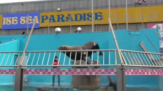 Příběhy zvířecích miminek III