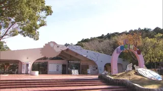 Příběhy zvířecích miminek III