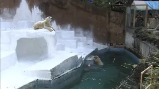 Příběhy zvířecích miminek III