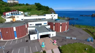 Příběhy zvířecích miminek III