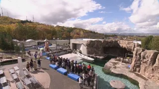 Příběhy zvířecích miminek III