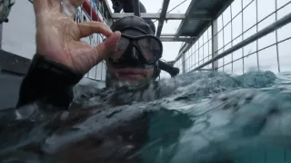 Svět ohrožených druhů (4)