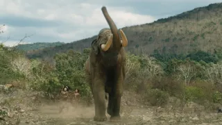 Poslední tajemství lidstva