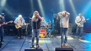 Ikony Kamila Střihavky (6/10)