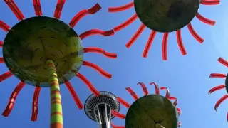 Dálnice 101, ze Seattlu do Kalifornie