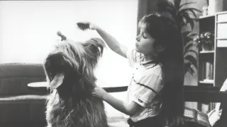 Kačenka a zase ta strašidla