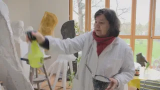 Ellen Jilemnická - Tvary oznamují