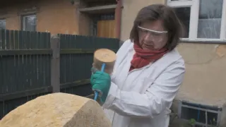 Ellen Jilemnická - Tvary oznamují