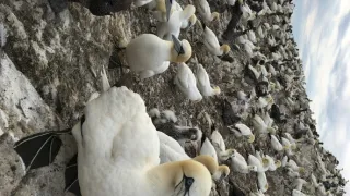 Malé ostrovy Velké Británie (1/4)