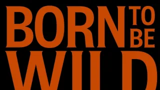 Born To Be Wild: Příběh skupiny Steppenwolf