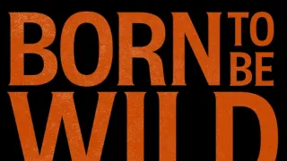 Born To Be Wild: Příběh skupiny Steppenwolf