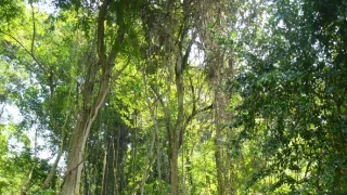 Na cestě po západní Ugandě