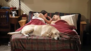 Dva a půl chlapa X (21)