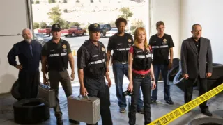 Kriminálka Las Vegas VIII (1)