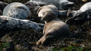 Malé ostrovy Velké Británie (3/4)