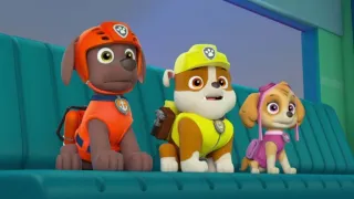 Tlapková patrola II