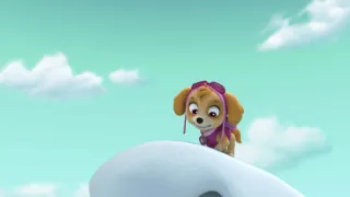 Tlapková patrola II