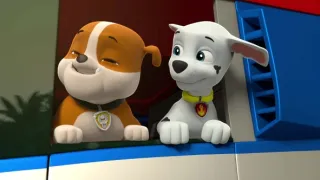 Tlapková patrola II