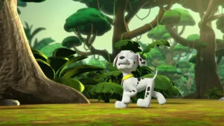 Tlapková patrola II