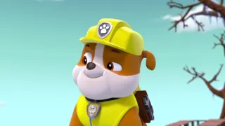 Tlapková patrola II