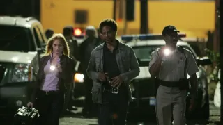 Kriminálka Las Vegas VIII (3)