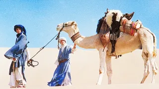 Návrat černého hřebce