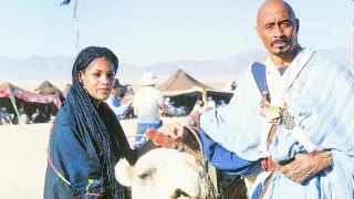 Návrat černého hřebce