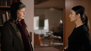 Komisařka Marleau (7)