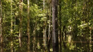 Divoká a svobodná Kolumbie (1/2)