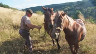 Čechoslováci v gulagu (3/3)