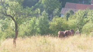 Čechoslováci v gulagu (3/3)