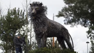 Na cestě po Severním Irsku