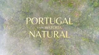 Divoké Portugalsko (5/7)