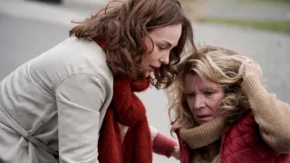 Komisařka Marleau II (6)