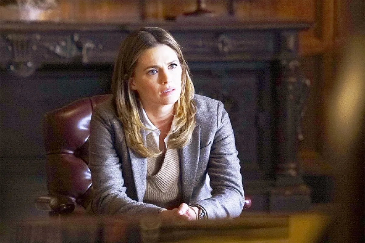 Vtierka Castle (Castle VII - Hollander’s Woods), 2015 - fotogaléria