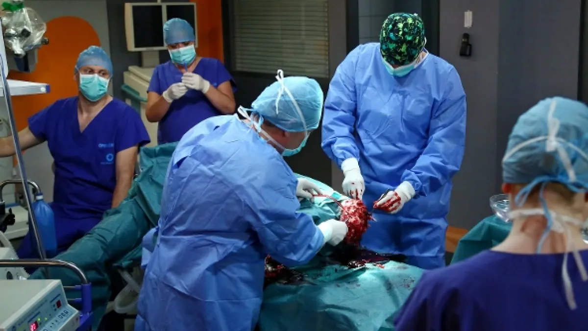 Modrý kód, 2017 - fotogaléria