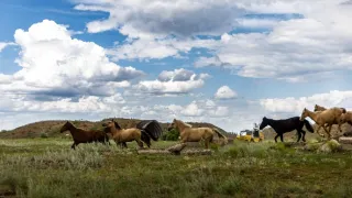 Žlutou žábou až do Mongolska (1/12)