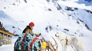 Bella a Sebastián 3: Přátelé navždy