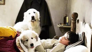 Bella a Sebastián 3: Přátelé navždy