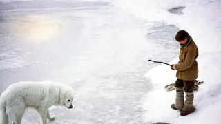 Bella a Sebastián 3: Přátelé navždy