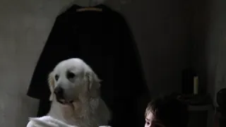 Bella a Sebastián 3: Přátelé navždy