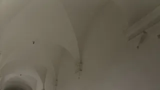 Královská pavučina (4/4)