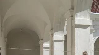 Královská pavučina (4/4)