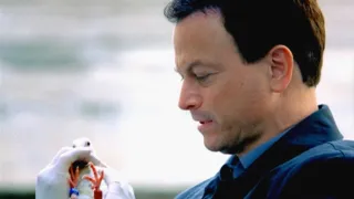 Kriminálka New York III (10)